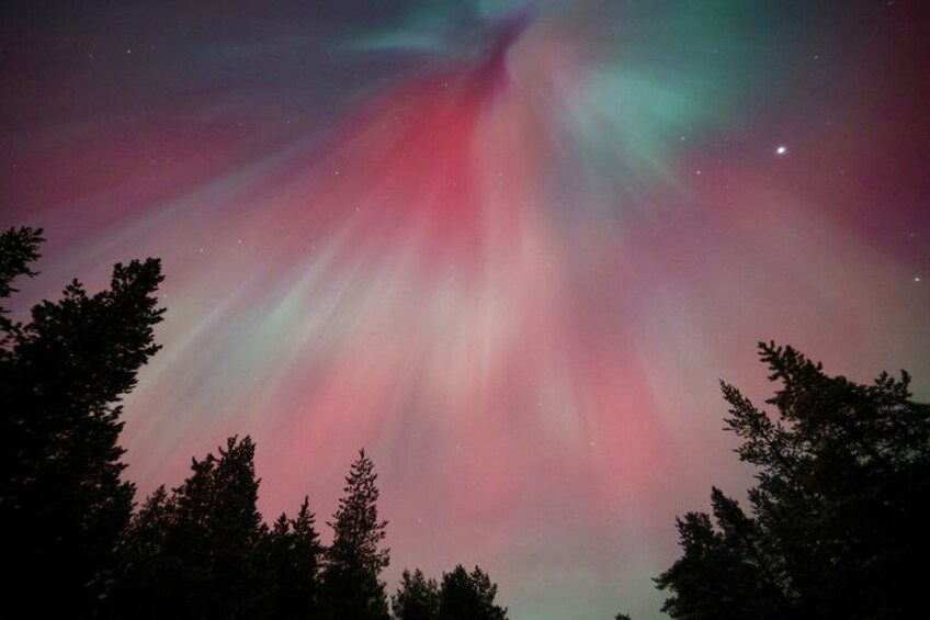 Aurora Hunting Tour by Car at Northern Lights in Ivalo and Inari 4