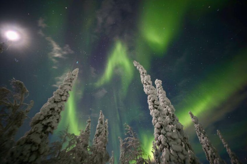 Aurora Hunting Tour by Car at Northern Lights in Ivalo and Inari 1