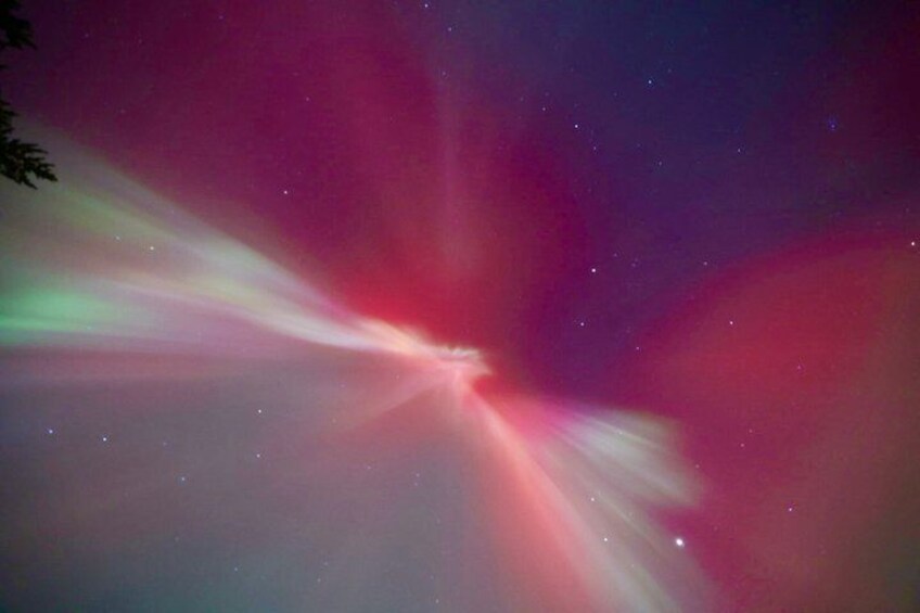 Aurora Hunting Tour by Car at Northern Lights in Ivalo and Inari 5