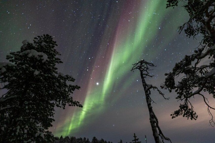 Aurora Hunting Tour by Car at Northern Lights in Ivalo and Inari 3