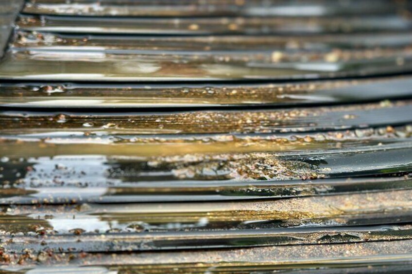 Gold Panning Experience at Kuttura Claim Lapland 5