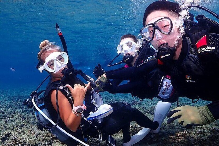 (GOYA dive)Blue Cave Private Group Introductory Diving Tour 5