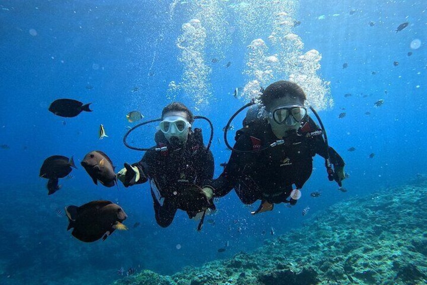 (GOYA dive)Blue Cave Private Group Introductory Diving Tour 1