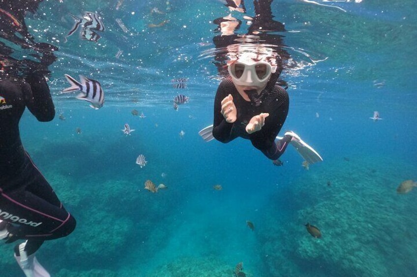 A diver underwater with fish swimming around. 2