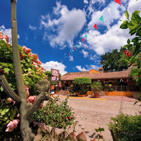 El Quelite - A magical mexican village! 1