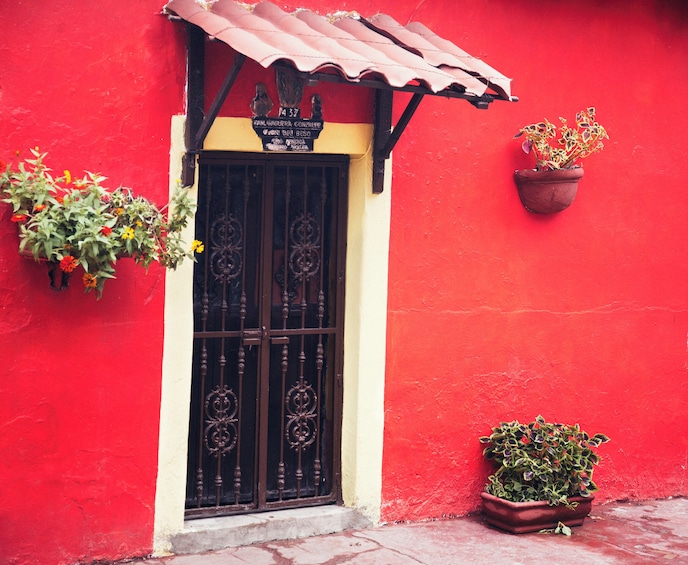 El Quelite - A magical mexican village! 5