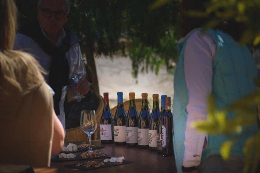 Alcohuaz Signature Wine Tasting 1