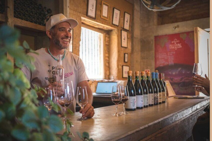 Alcohuaz Signature Wine Tasting 3