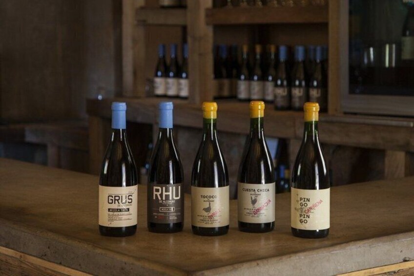 Alcohuaz Signature Wine Tasting 5