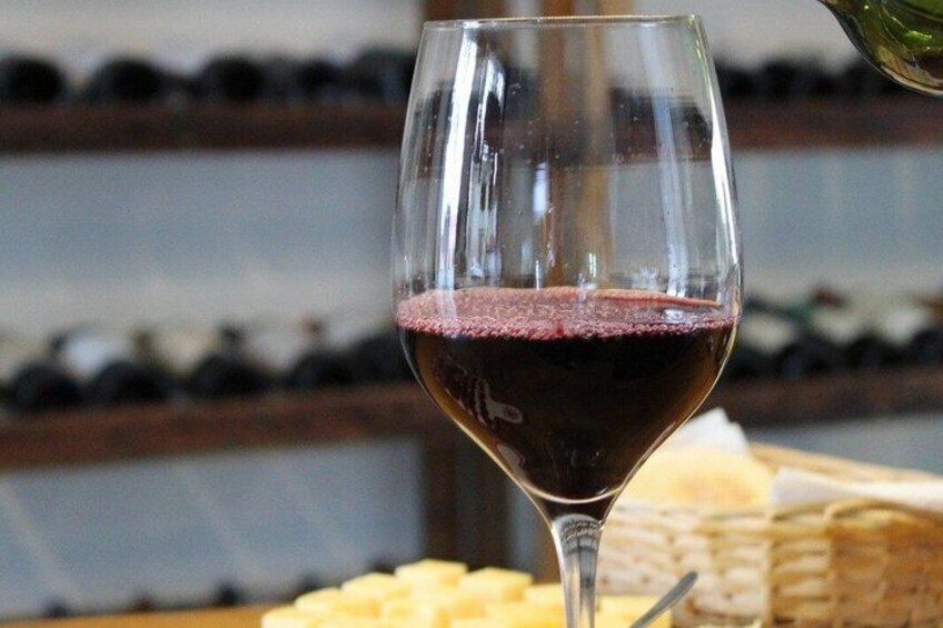 Wine and Cheese Tasting in Colonia del Sacramento 4