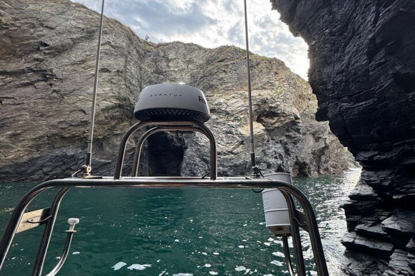1 Hour Sea Safari RIB Boat Trip 2