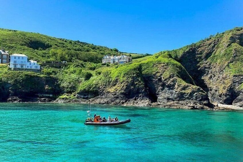1 Hour Sea Safari RIB Boat Trip 5