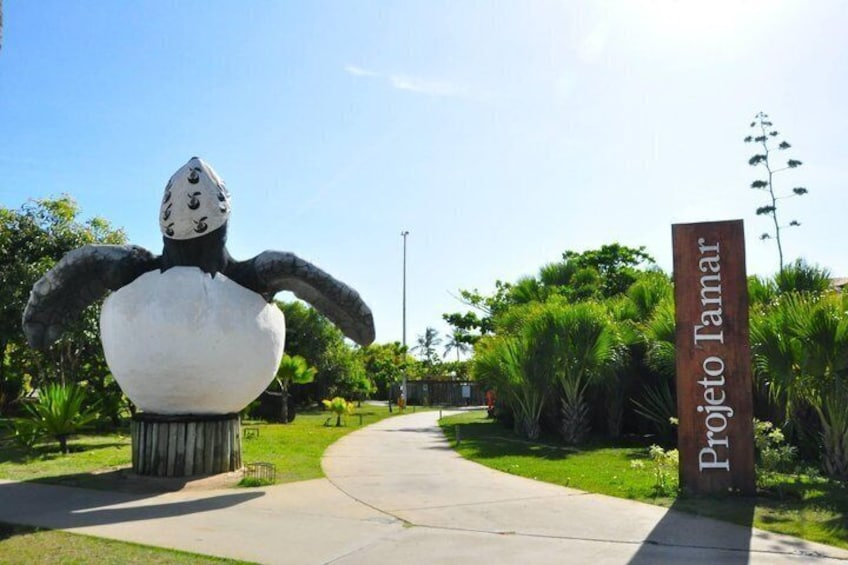 Aracaju Best of the City Tour with Hotel Pickup 2