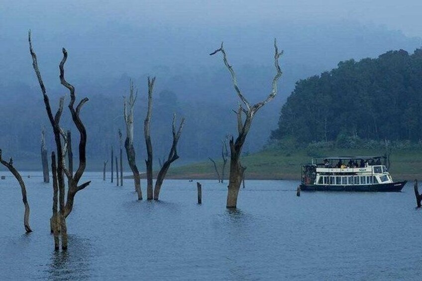 Thekkady Jeep safari and National Park Tour with Tea Tasting 1