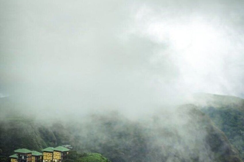 Thekkady Jeep safari and National Park Tour with Tea Tasting 3