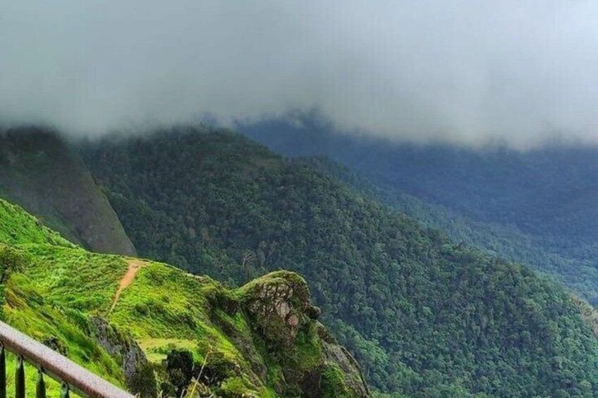 Thekkady Jeep safari and National Park Tour with Tea Tasting 4