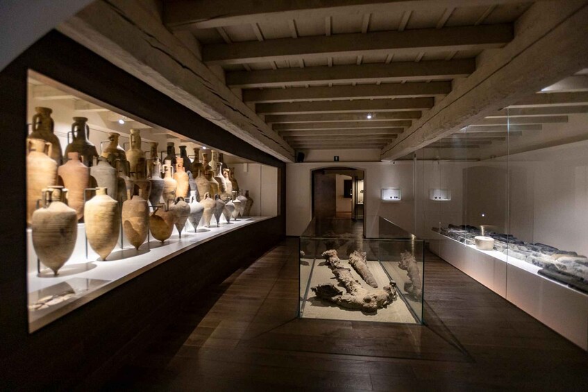 Picture 2 for Activity Comacchio: Admission ticket to the Museo Delta Antico 3