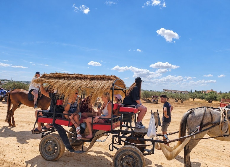 Picture 6 for Activity Camel ride with transport from Sousse or Monastir 2