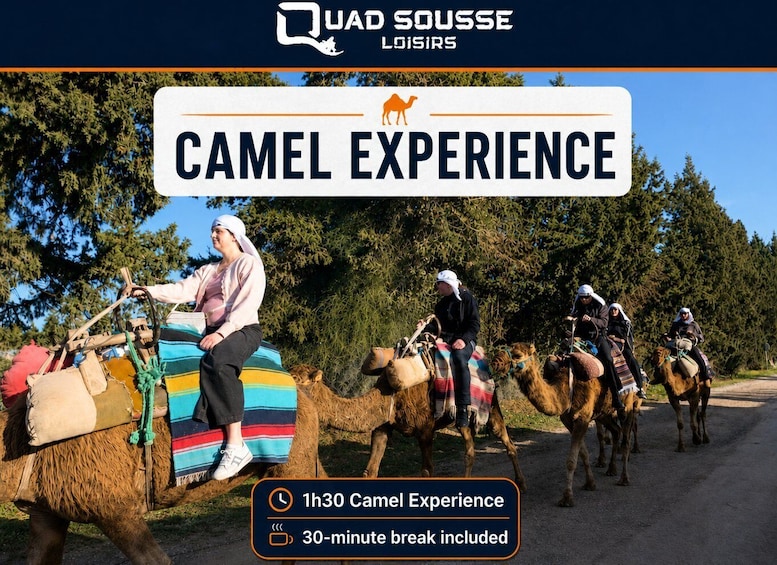 Dromedary ride with transport from your hotel in Sousse or Monastir 1