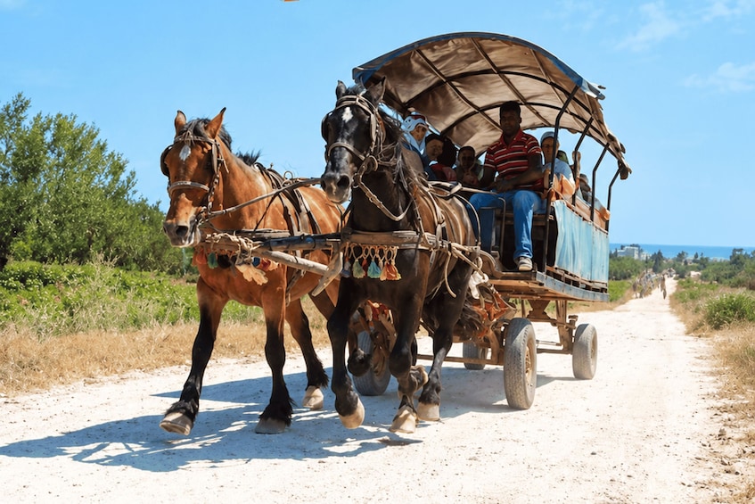 Picture 5 for Activity Camel ride with transport from Sousse or Monastir 3