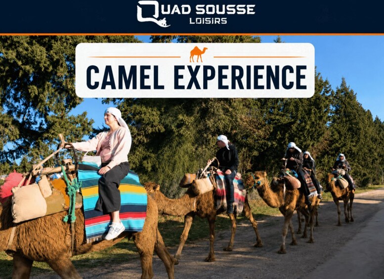 A camel ride activity with participants on camels, set against a backdrop of trees and clear skies. 1