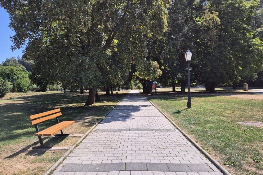A paved pathway, a wooden bench, and a lamppost in a park with trees. 5