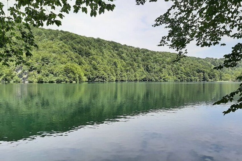 A calm lake surrounded by dense green forest. 4