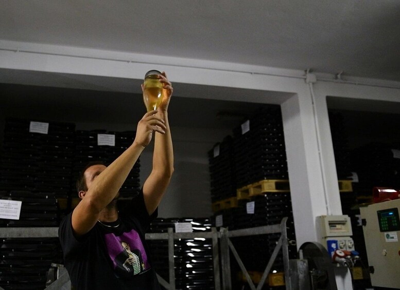 Picture 2 for Activity Oltrepò Pavese: wine cellar visit with tasting of 4 wines 2