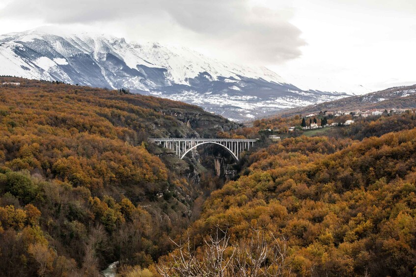 Picture 3 for Activity Durmitor Winter Wonderland: Black Lake & Tara Bridge 4