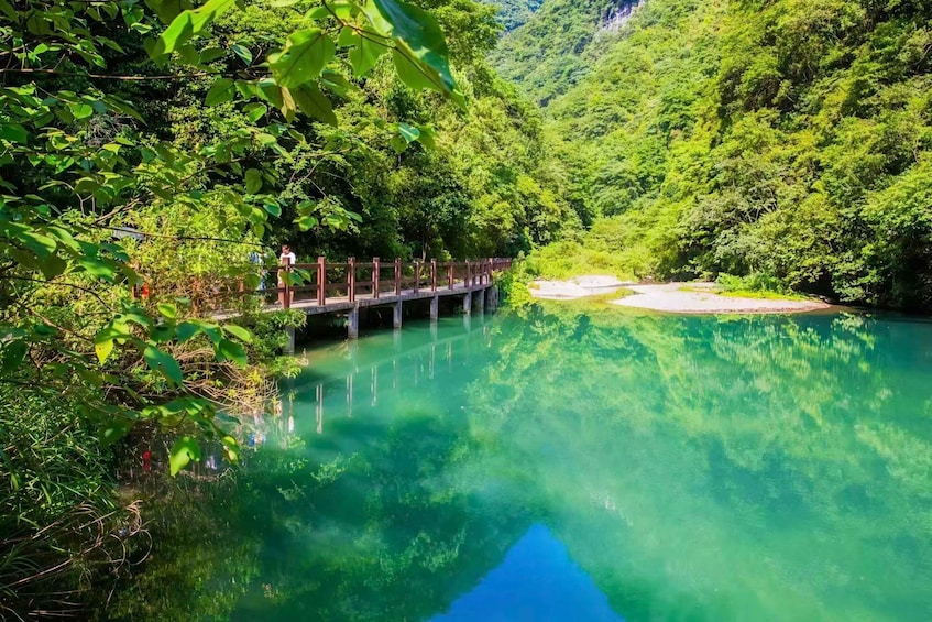 A wooden bridge over a clear river surrounded by dense green forest. 2