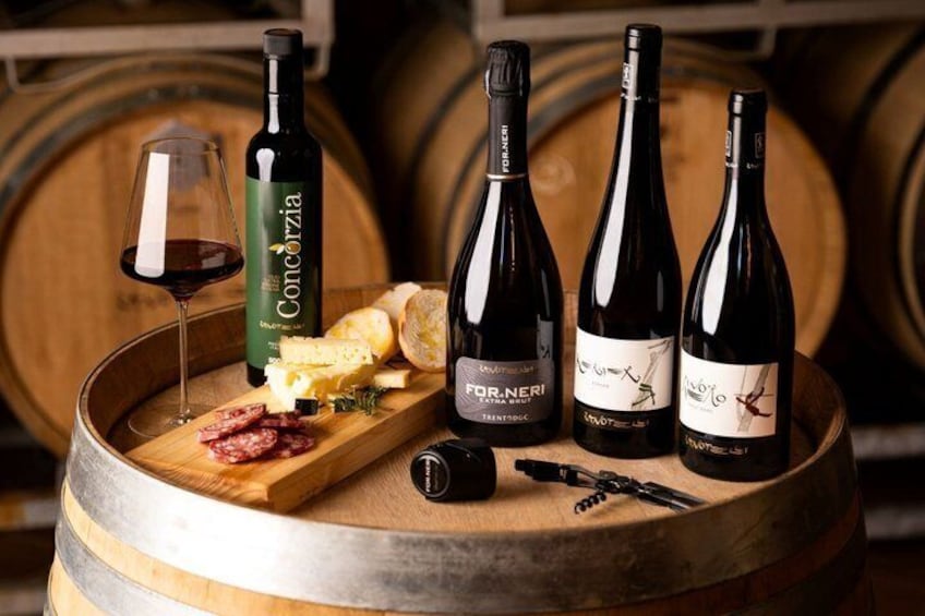 Valle di Cembra Tasting Three Wines Cold cuts and Cheeses 1