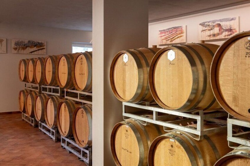Valle di Cembra Tasting Three Wines Cold cuts and Cheeses 3
