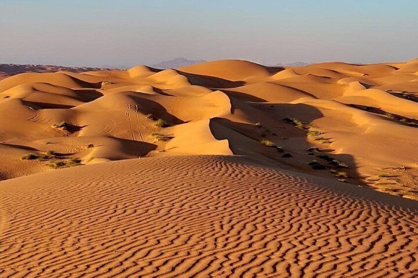 Sand dunes with rippled patterns and sparse vegetation. 5