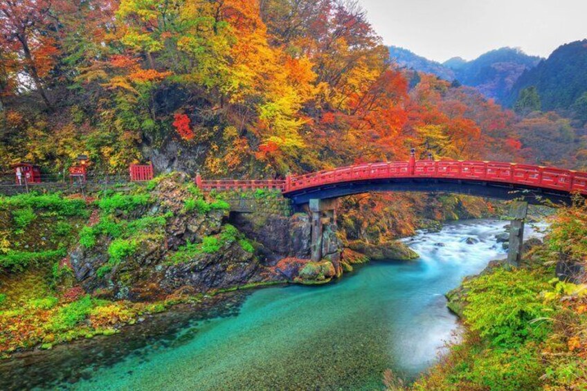 Nikko Private Tour Toshogu Shrine, Kegon Falls and Lake Chuzenji 4