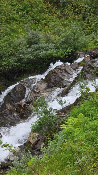 Picture 4 for Activity Stunning Tromsø nature bath - Hike with Bonfire/Lunch/photo 1