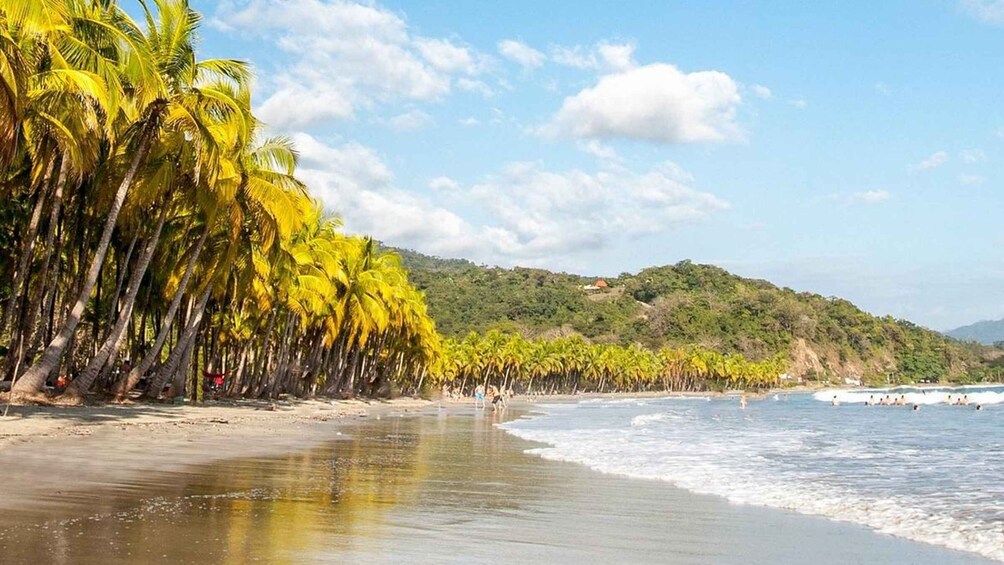 Picture 2 for Activity From Santa Teresa: SJO Airport Transfer with Puntarenas Stop 3