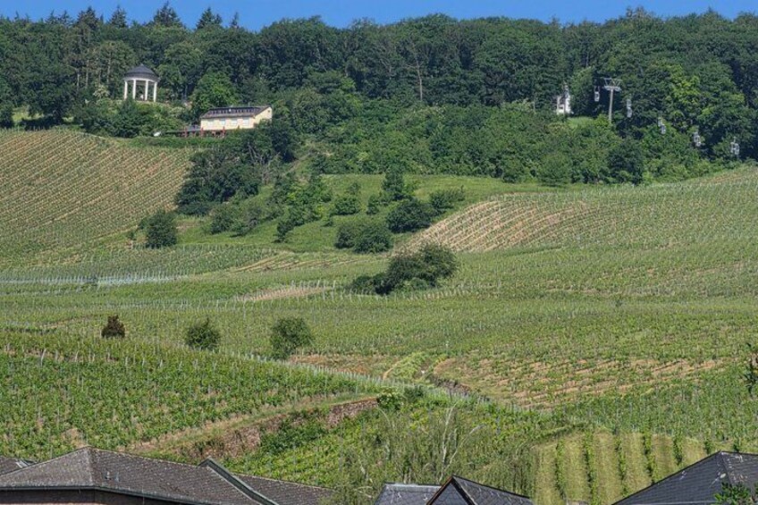 Rheintal – Rhine Valley: Castles, Vineyards & Rhine Views 3