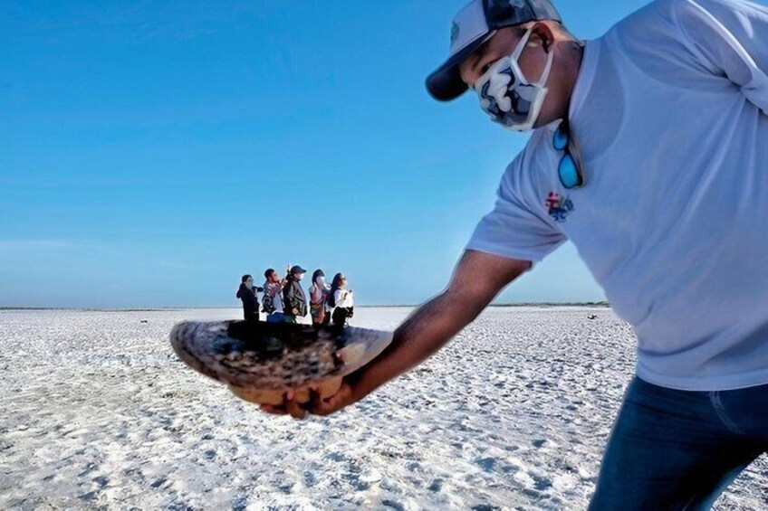 Máncora The Negritos Salt Flat 3