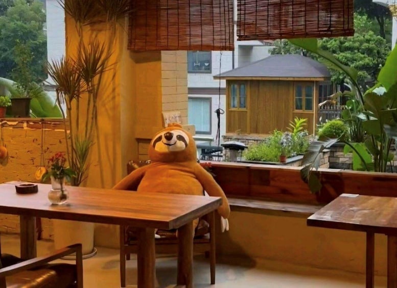 A plush toy sloth at a wooden table in a cafe with a view of a house and greenery outside. 2