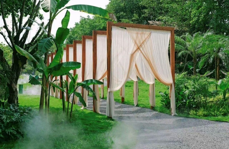 A pathway lined with wooden posts and white curtains, surrounded by lush greenery and banana plants. 3