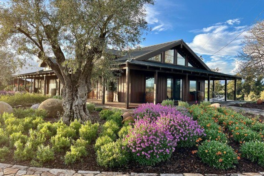 A modern house with a large tree and colorful flower beds. 4