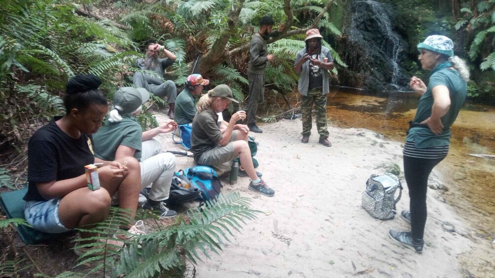 A group of people sitting and standing in a forested area with a stream. 2