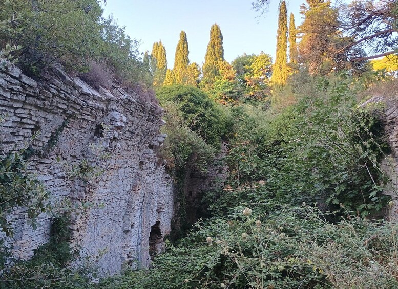 Picture 6 for Activity Sicily: Guided tour along the archaeological trails of Mount Bonifato, Alcamo 4