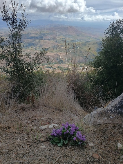 Picture 23 for Activity Sicily: Archaeological trekking along the trails of Mount Bonifato, Alcamo 2