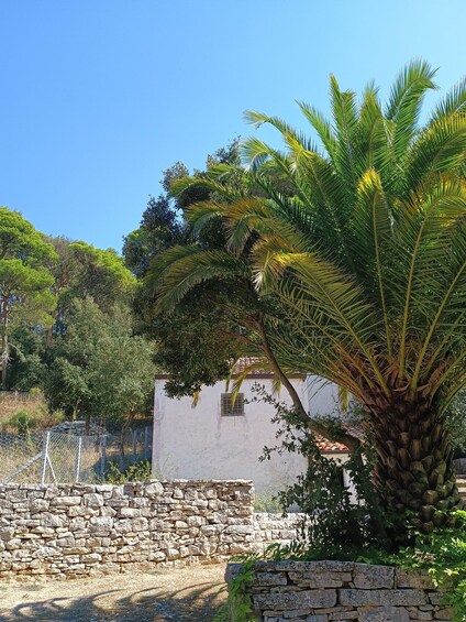 Picture 24 for Activity Sicily: Archaeological trekking along the trails of Mount Bonifato, Alcamo 4