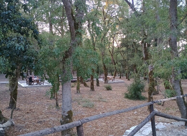 Picture 16 for Activity Sicily: Guided tour along the archaeological trails of Mount Bonifato, Alcamo 3