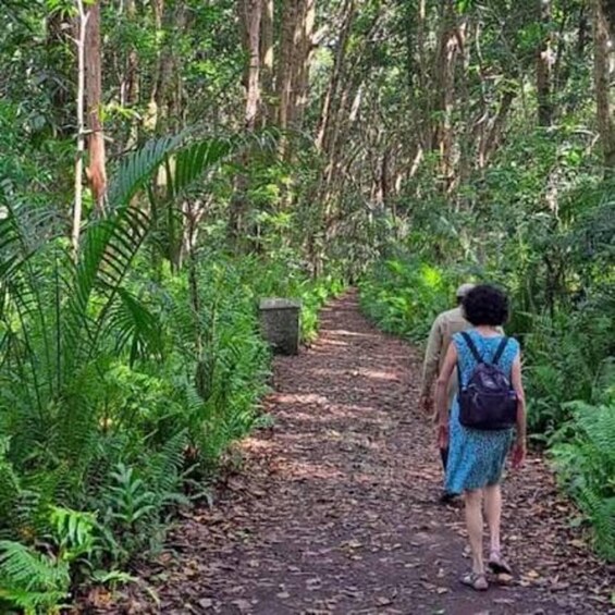 Picture 14 for Activity Full day tour: Jozani Forest, Spice Tour & Stone Town tour 3