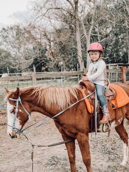 Picture 2 for Activity Needville: Horseback Ride & Picnic 3