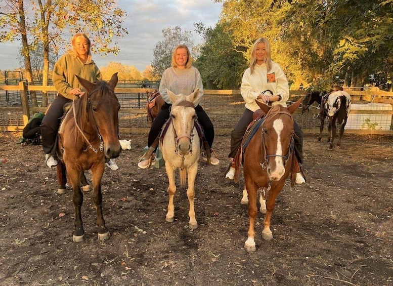 Needville: Horseback Ride & Picnic 1