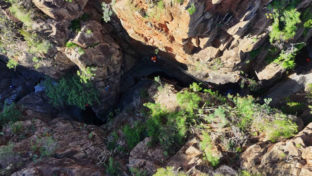 A canyon with a suspension bridge and lush greenery. 5